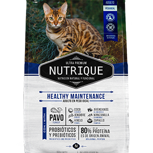 young adult cat healthy