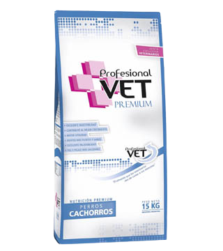profesional vet cachorros