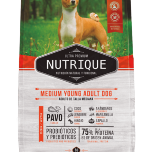 Nutrique - Adult Young Medium 12Kg
